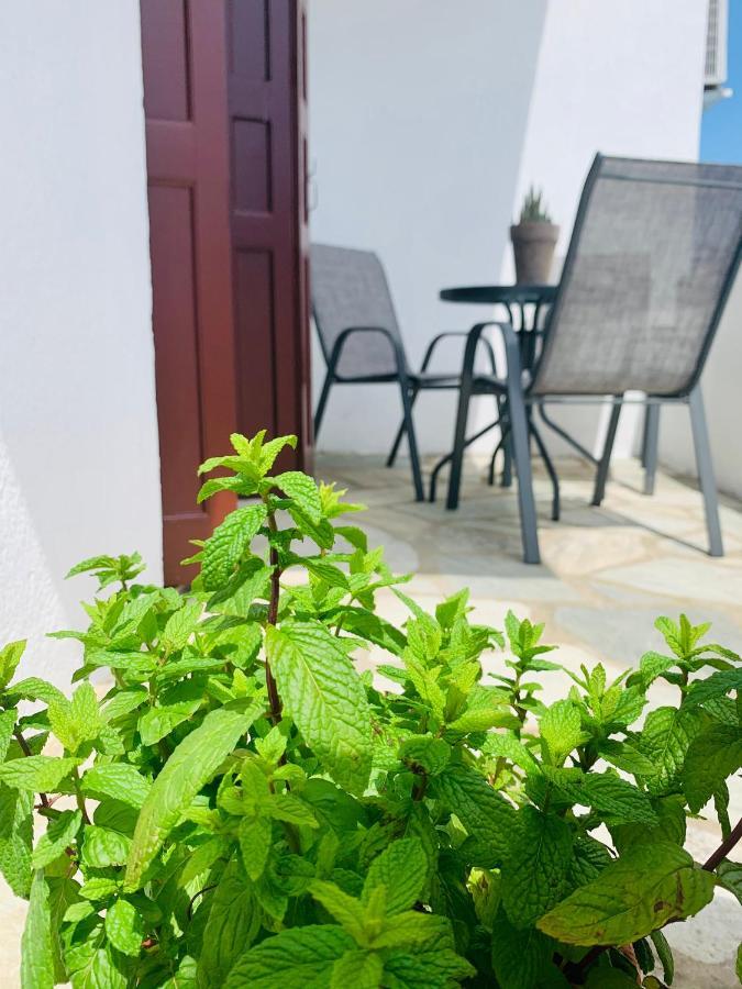 Skopelos Inn ستافيلوس المظهر الخارجي الصورة